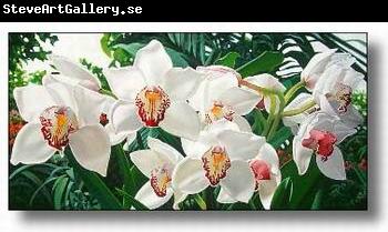 unknow artist Still life floral, all kinds of reality flowers oil painting  76